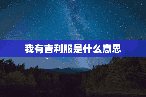 我有吉利服是什么意思